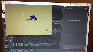 Simulation of a Hexapod