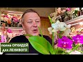 полив ОРХИДЕЙ чем и как в ЗАКРЫТОЙ ПОСАДКИ орхидей