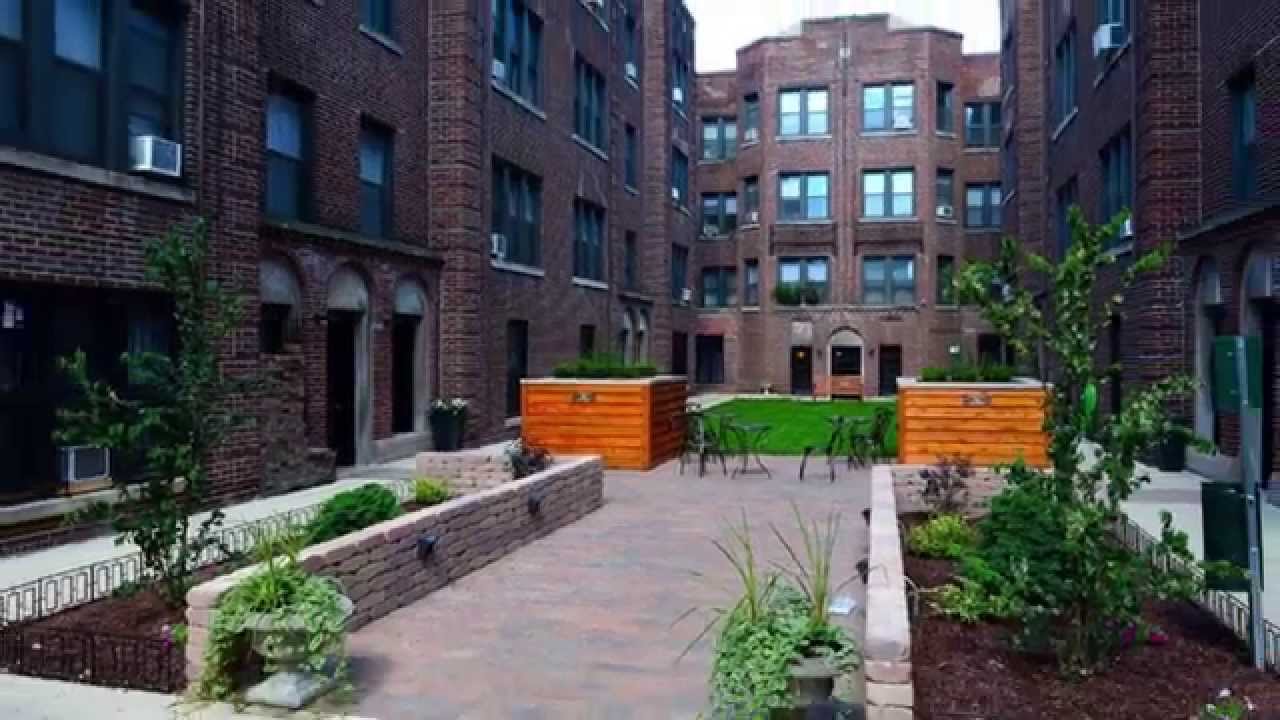 Chicago's Dog Friendly Apartments YouTube
