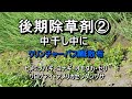 後期除草剤の散布！中干し中にクリンチャーバスME・・ヒメミソハギ・コナギ・オモダカ