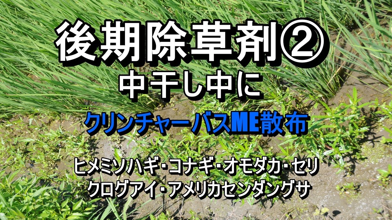 スカウト除草剤は何に使用されますか?