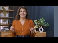 Procore AI Powered Construction