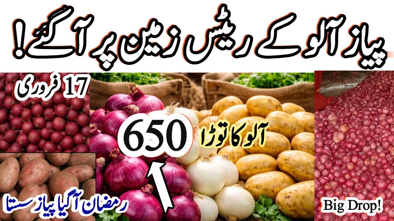 "Aloo Pyaz Full Discount 😱 | Aloo Tora 650 | Badami Bagh Sabzi Mandi Lahore | 17 Feb 2026"