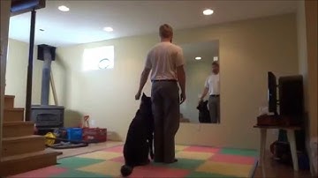 Pam Johnson: Video #7 - Stick to My Heel: One Step Forward