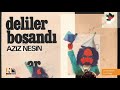 Deliler Boşandı - Aziz Nesin (Seslendiren: Ece Okay)