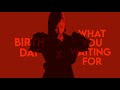 SOMI - birthday + what you waiting for (award show perf. concept)