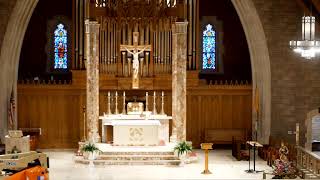 8:00 AM Celebration of the Holy Mass June 18, 2026