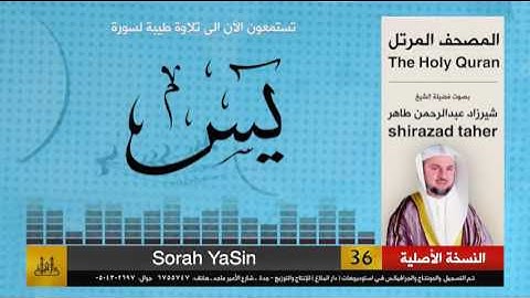 36 | سورة يس | شيرزاد عبد الرحمن طاهر | shirazad taher