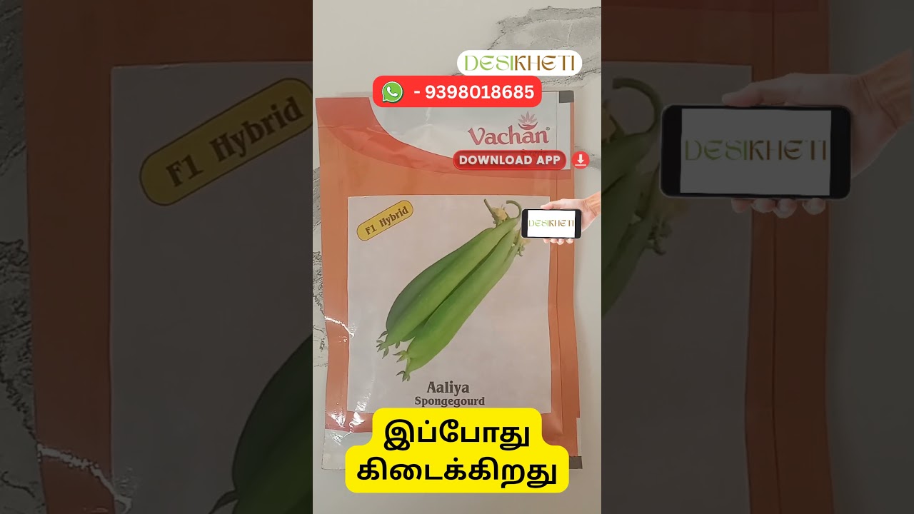 Aaliya Sponge Gourd Seeds | Desikheti - Buy Seeds Online | Contact - 9398018685 