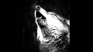 Nocturnal Depression - The Crying Wolf