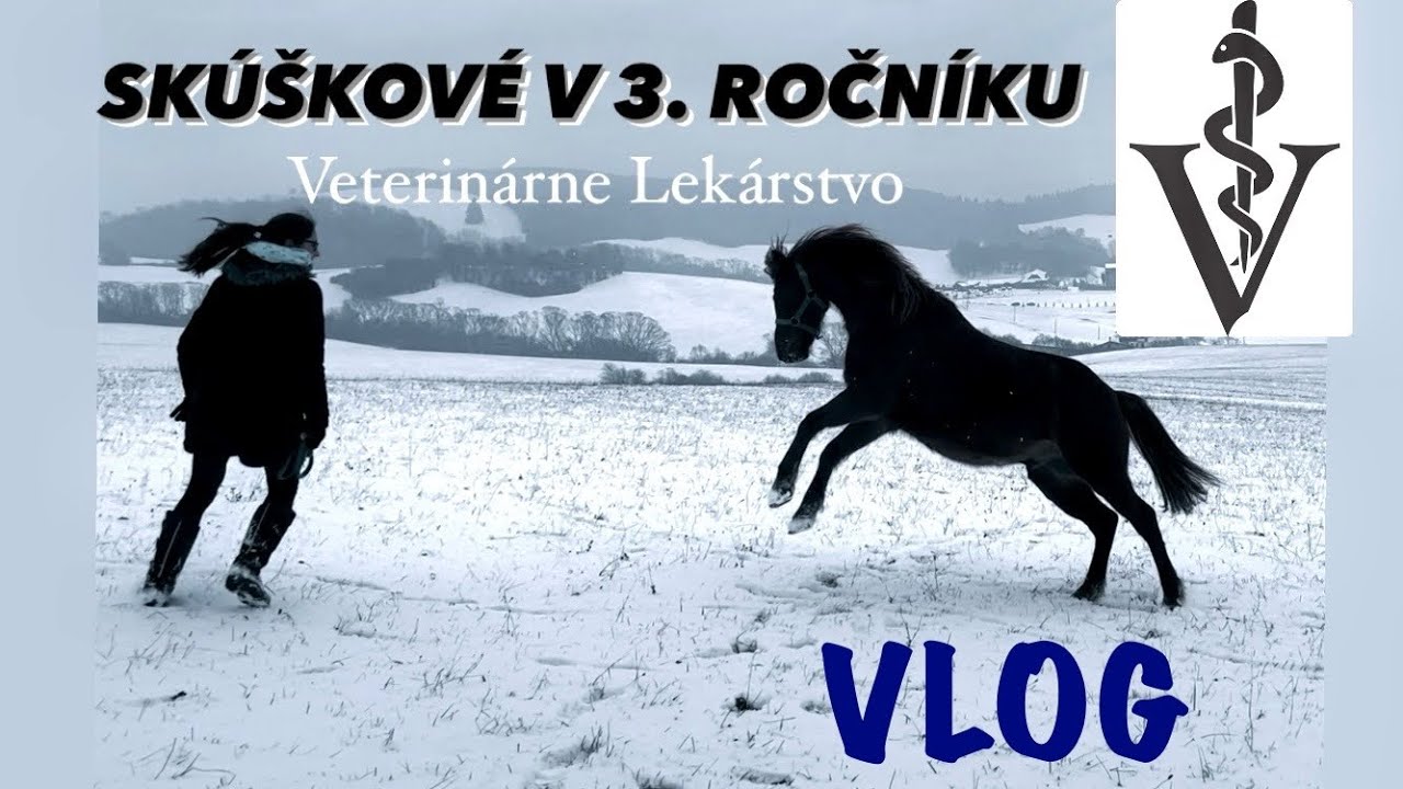 AKO SOM (NE)PREŽILA ĎALŠIE SKÚŠKOVÉ // 3. ROČNÍK na UVLF // vlog 3.0