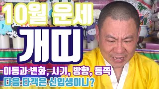 [10월 운세] 10월 개띠 나이대 별 운세 운의 흐름과 상승 방향 위치 색깔 당진  무지개 동자 ☎️ 01…