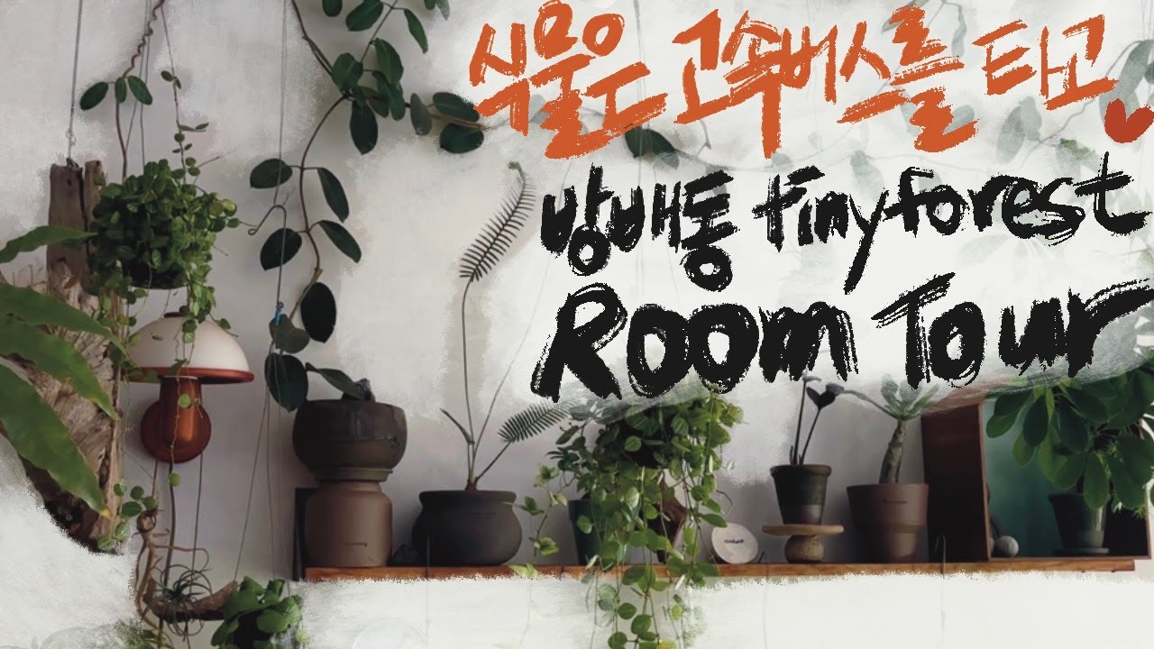 [Room Tour] The plants are so full... There's only room left to stand in the Tiny Forest!
