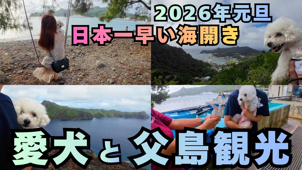 【愛犬と父島】島中を遊び尽くす観光完全ガイド！レンタカーで巡る、絶景の展望台や無残な戦跡