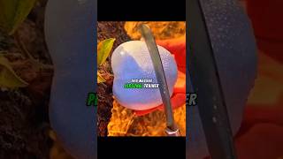 My First Day At Gym #asmr #story #shorts #viral