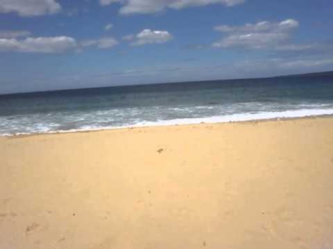 Video: Rester Av En Mystisk Varelse Som Finns På En Strand I Australien - Alternativ Vy