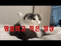허윤미TV 허윤미TV