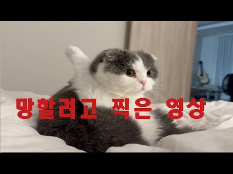 허윤미TV