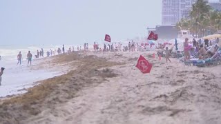Officials warn of danger at South Florida beaches due to rip currents