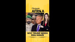 Why Trump Needs Mali Again Firstpost Africa Subscribe To Firstpost N18G