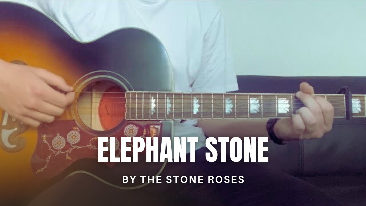 The Stone Roses - Elephant Stone (cover)