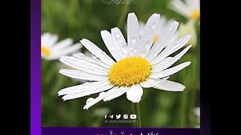 صفات عبادات الرحمن | سوره الفرقان بصوت جميل ✨ القارئ الشيخ عبد اللطيف