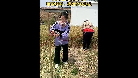 Let me work in the fields every day. I don
