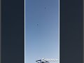 Благодарненские бойные голуби Токарь В. А. Вечерний гон . Тел. 89064914150