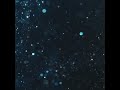 Ludwig Göransson - Gravity Swallows Light (slowed + reverb)