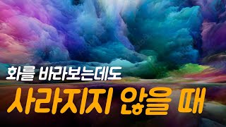 각각의 감정은 온전하며 꼭 필요한 것입니다 | 안되겠다 내 마음좀 들여다봐야겠다, 용수