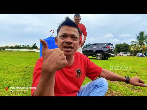 Burung mah bagus, tp Sering banget kalah HOKI ๐ฑ