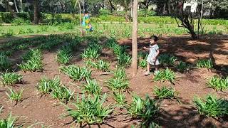 Little Anandi Trying To Catch Squirrels