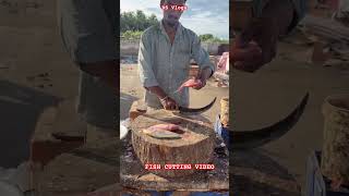 #goodbadugly #godblessyou #fish #fishcutting #fishcutting_skills #shortsfeed #shorts #seafood #மீன்
