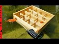 Gopro FISH MAZE!