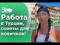 Работа в Турции! Советы для новичков от аниматора Саши!