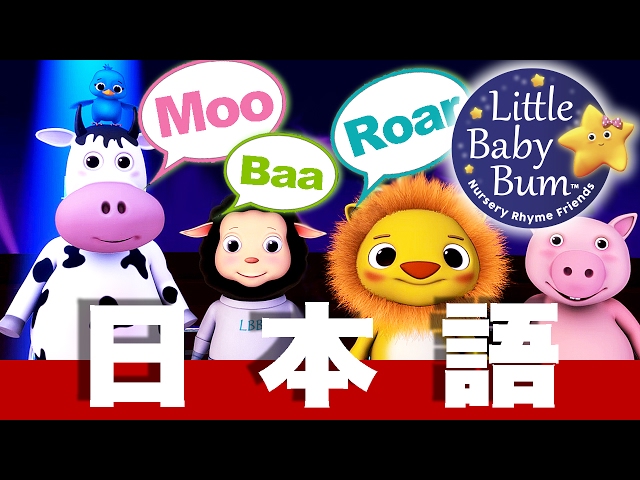 新品　LITTLE BABY BUM 子ども英語ソングDVD VOL.2 新品 LITTLE BABY BUM 子ども英語ソングDVD VOL.2 Little Baby
