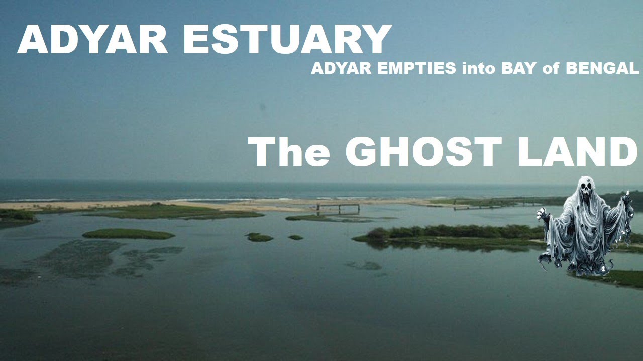 Adyar Estuary : Adyar River Meets Bay of Bengal | Ghost Vibe| Chennai | Adyar | Vlog 50