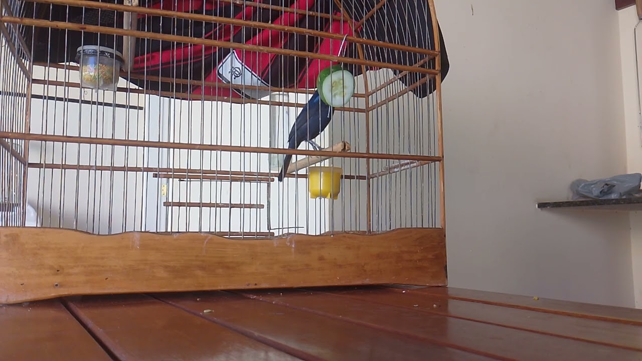 18 de fevereiro de 2026