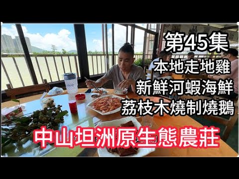 第45集 中山坦洲原生態農莊｜體驗地道傳統美食｜荔枝木燒制燒鵝、本地走地雞、新鮮河蝦海鮮｜#珠海樓盤#中山樓盤 #大灣區樓盤 #大灣區置業 #大灣區買樓 #大灣區發展 #大灣區概念 #大灣區投資