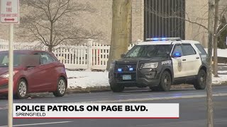 Police to patrol Page Boulevard Wednesday following several deadly crashes