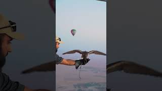 Dubai Hot Air Balloon Experience: Gourmet Breakfast & Private Luxury Camp