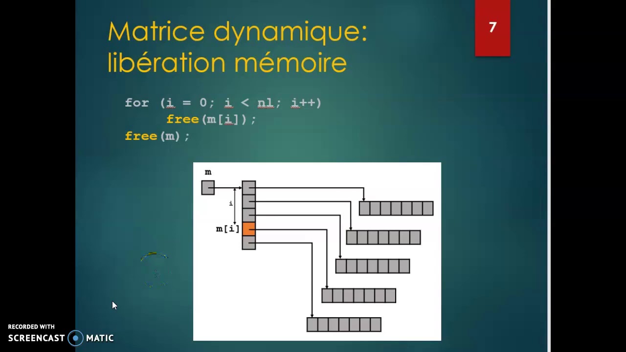Langage C: Allocation/Libération matrices dynamiques