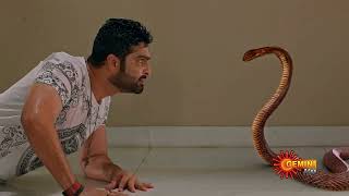 Nethra - New Serial Promo Coming Soon Gemini Tv