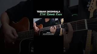 Download Lagu ternak digembala efek rumah kaca MP3