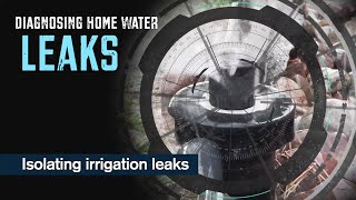 Diagnosing Home Water Leaks: Isolating Irrigation Leaks