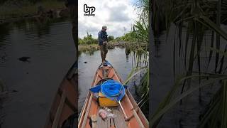 DETIK-DETIK JORAN PATAH DITARIK TOMAN #shorts #mancing #fishing