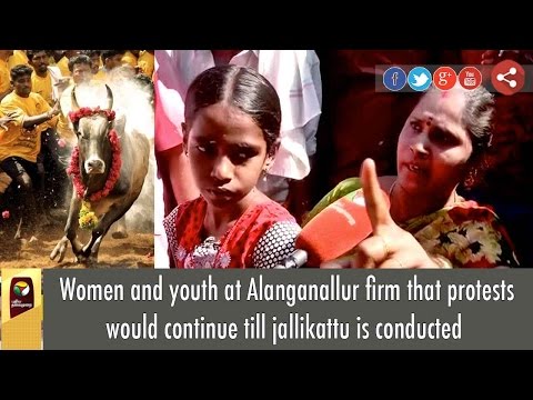Women and youth at Alanganallur firm that protests would continue till jallikattu is conducted