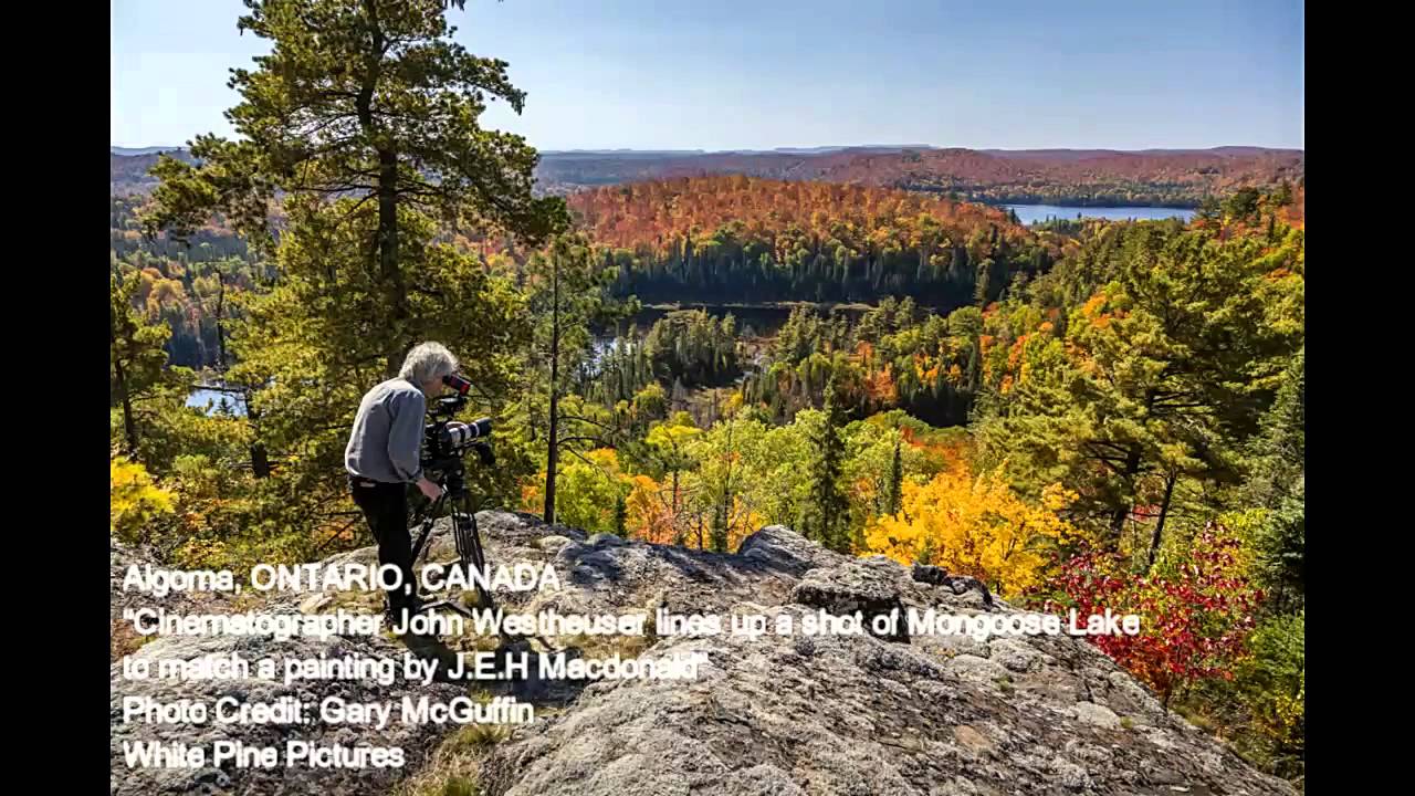 Phyllis Ellis talks about Painted Land: In Search of the Group of Seven