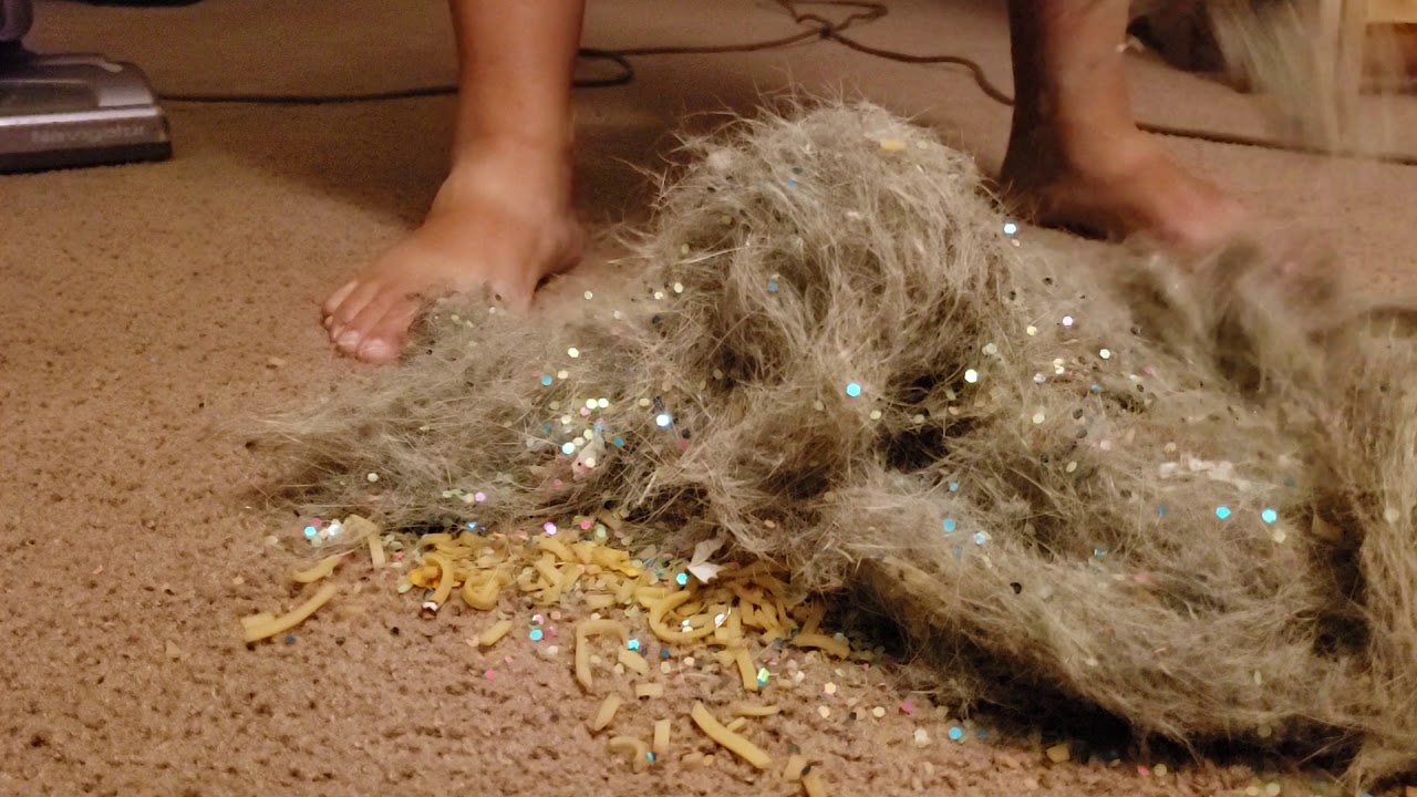 Hose and Brushroll Vacuuming Variety with Shark Navigator (NV22L)