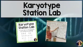 Karyotype Station Lab